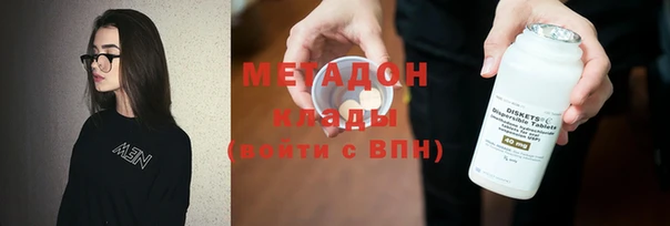 прущие грибы Новодвинск